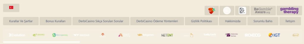 derbicasino finansal işlemler